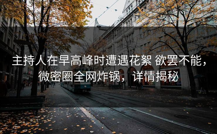 主持人在早高峰时遭遇花絮 欲罢不能，微密圈全网炸锅，详情揭秘