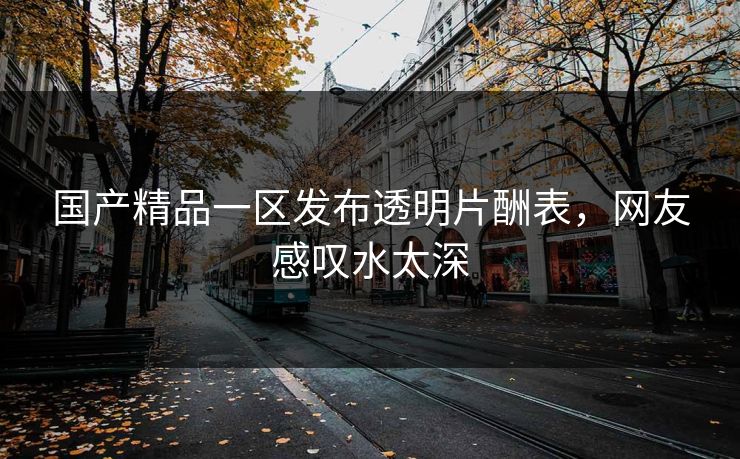 国产精品一区发布透明片酬表，网友感叹水太深