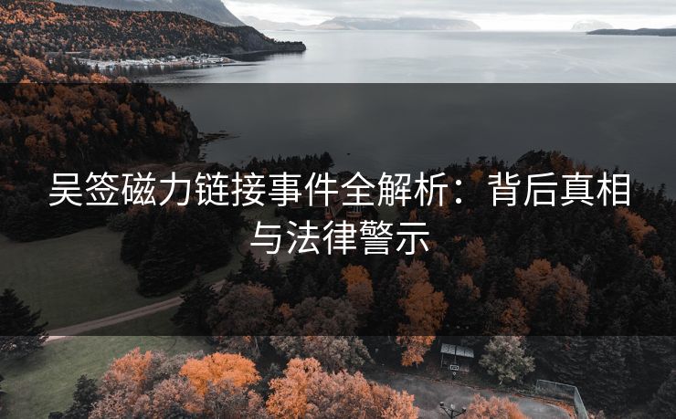 吴签磁力链接事件全解析：背后真相与法律警示
