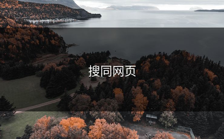 搜同网页