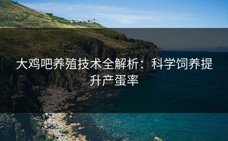 大鸡吧养殖技术全解析：科学饲养提升产蛋率