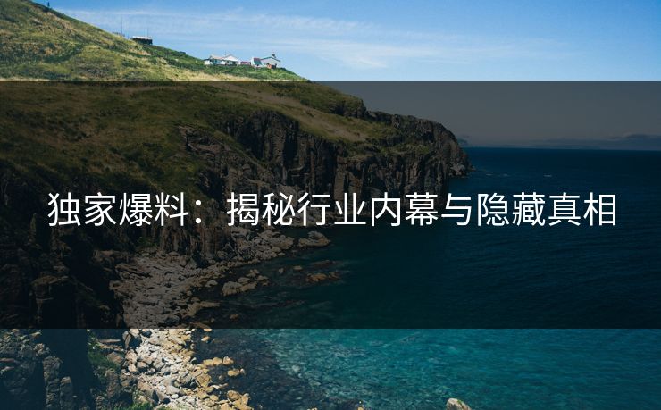 独家爆料：揭秘行业内幕与隐藏真相
