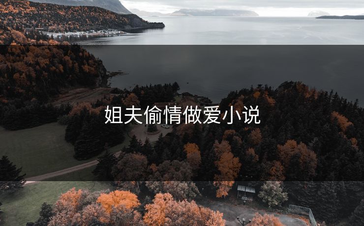 姐夫偷情做爱小说